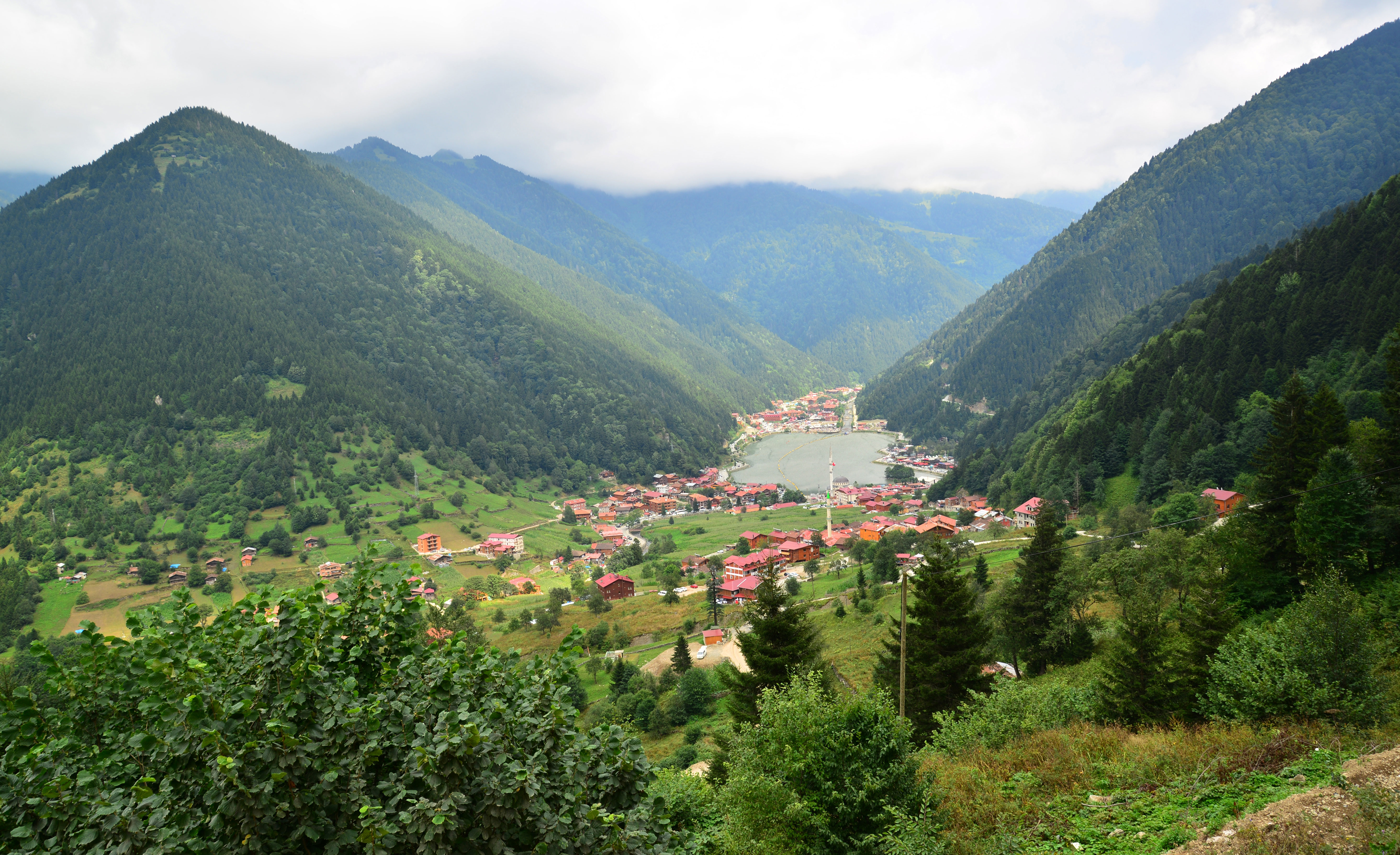 Yurtiçi Turlar