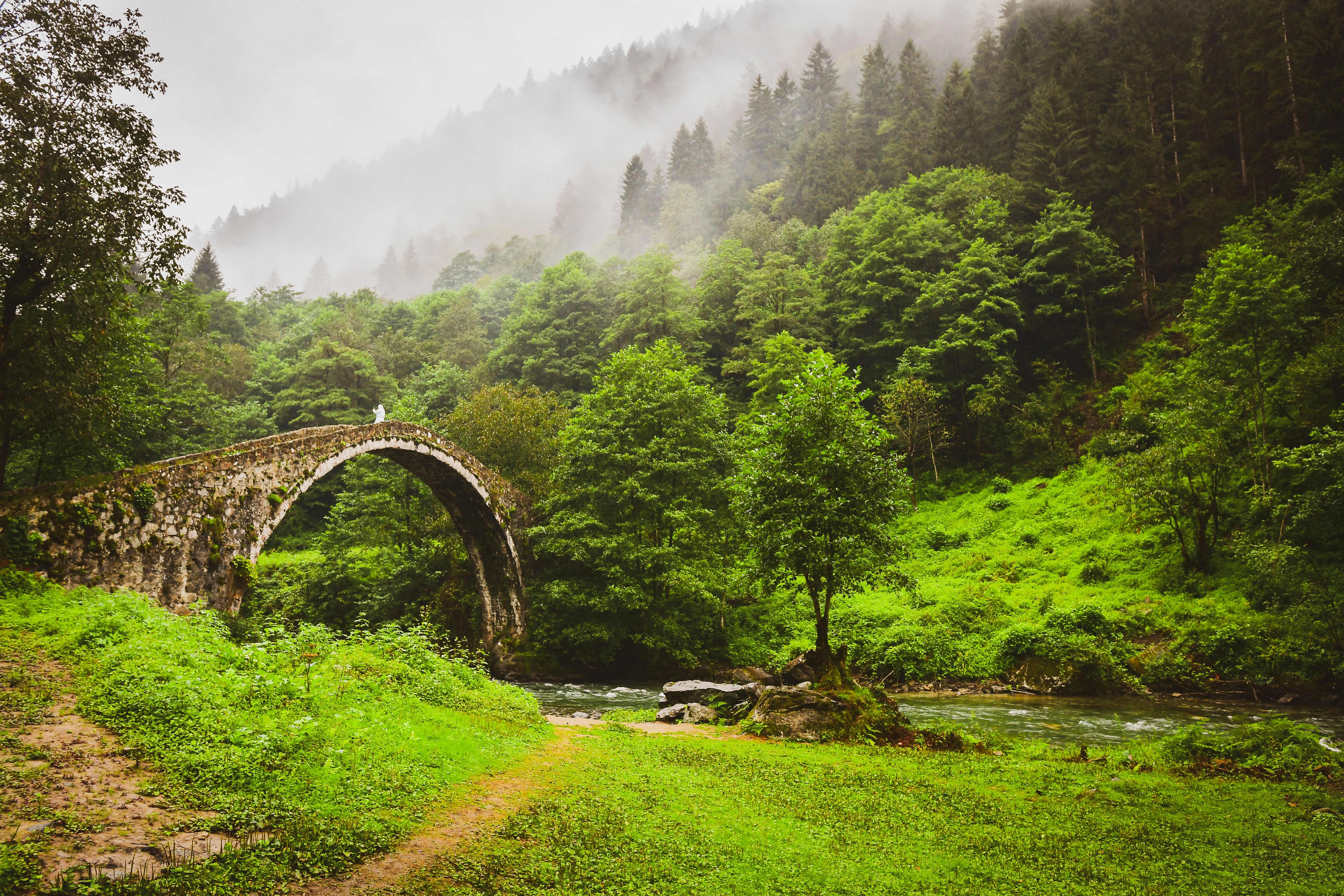 Yayla Turları