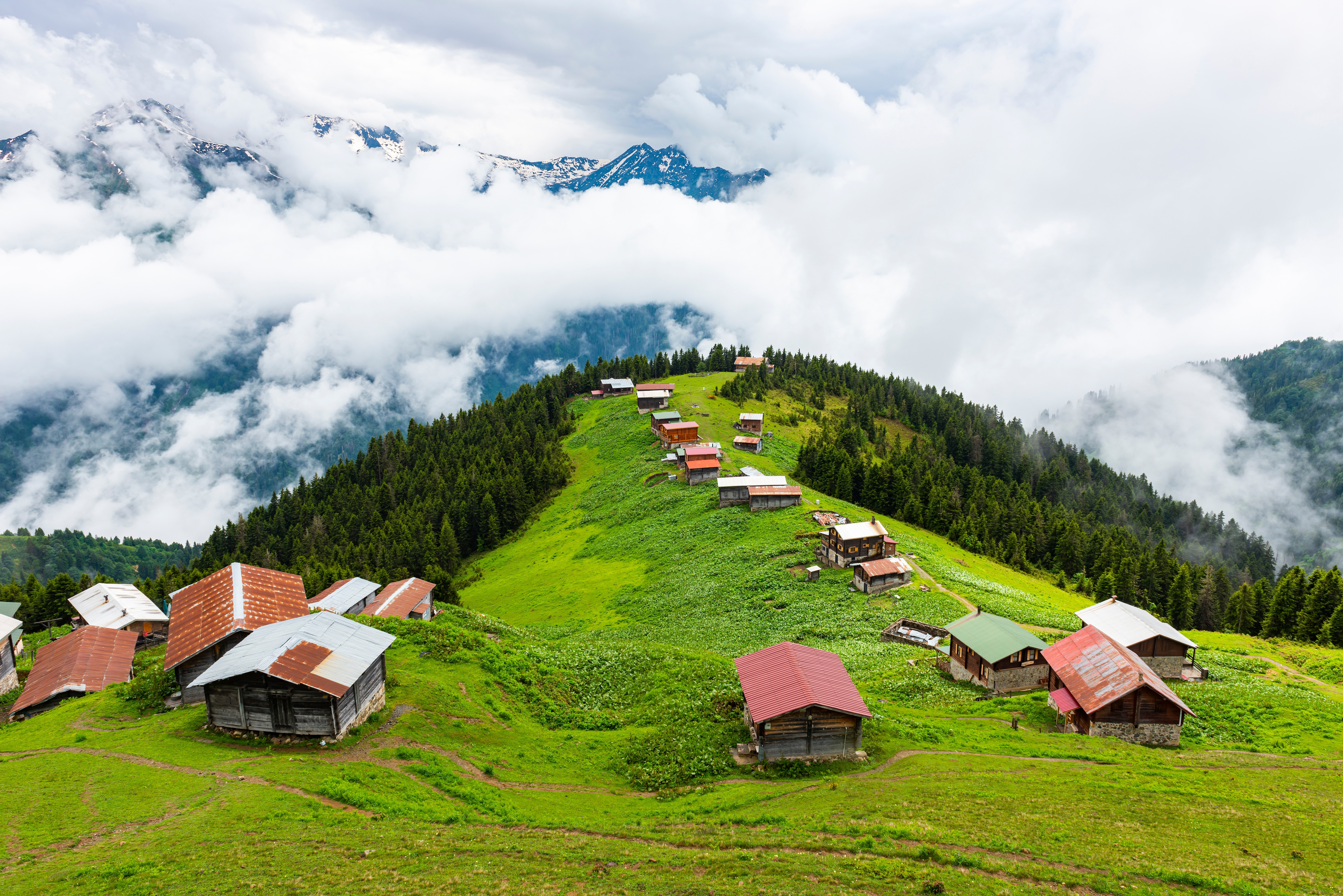 POKUT - SAL YAYLA TURU